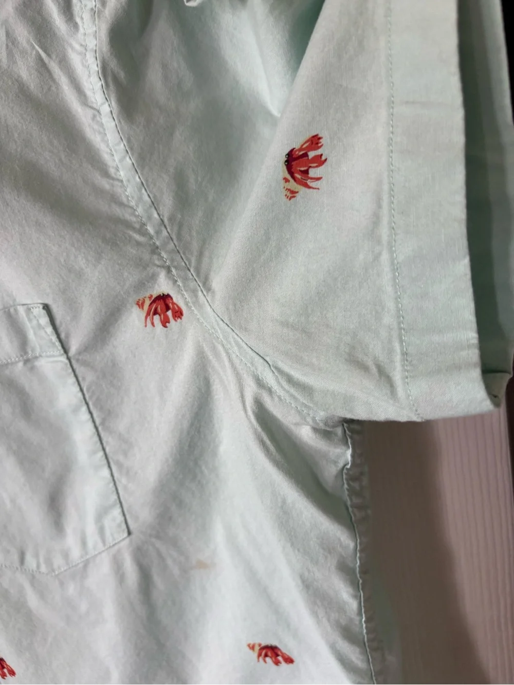 J. Crew Mint Short-Sleeve Button-Down Shirt with Red Embroidery